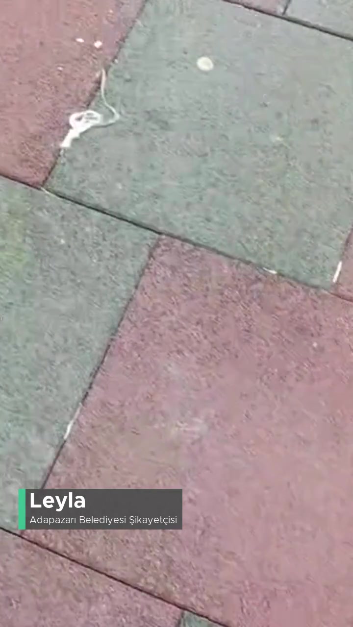 Adapazarı Belediyesi Çöp Sorunundan Bıktık! videonun kapak resmi