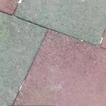 Adapazarı Belediyesi Çöp Sorunundan Bıktık!
