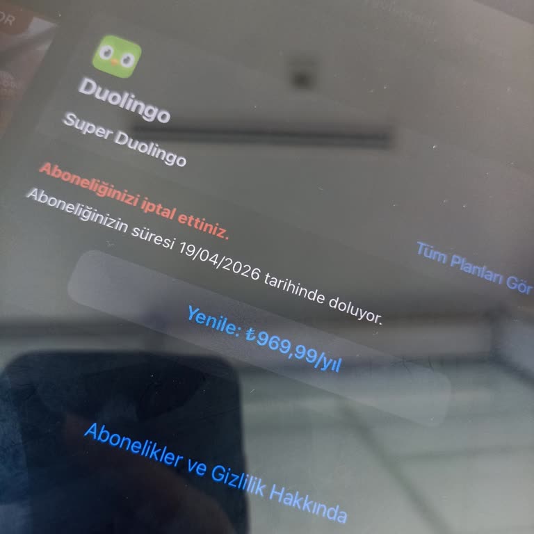Yanlışlıkla Çekilen 1 Yıllık Duolingo Max Üyelik Ücreti Ve İade Sorunu