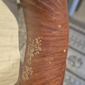 Aldığım Sucuk Küflendi, Son Tüketim Tarihi Çok Yakındı