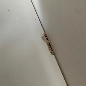 Aldığım Konsolda Defolu Parça Ve Belirsiz Servis Süreci