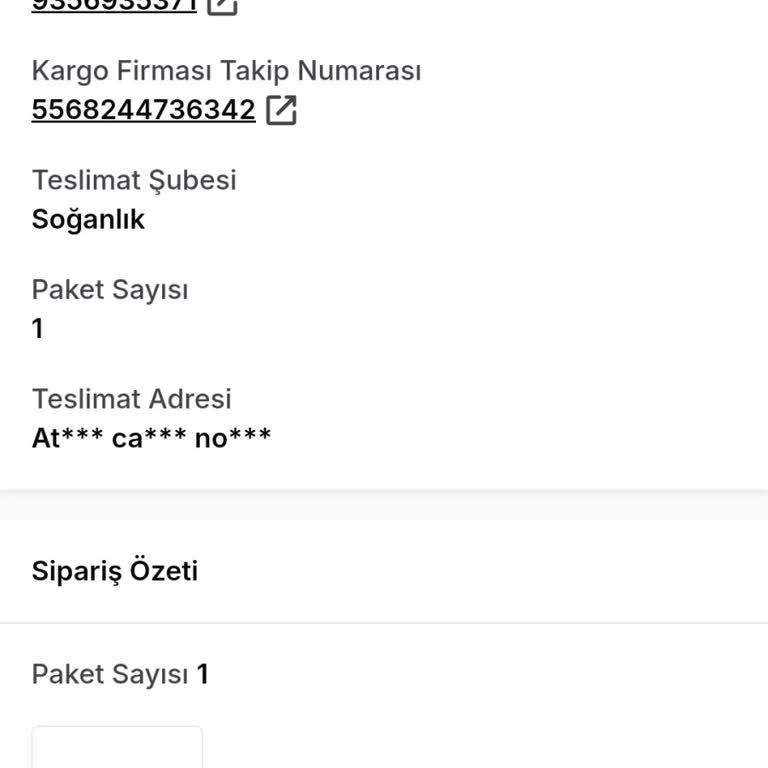 Siparişim Teslim Edilmedi, Kimse Sorumluluk Almıyor