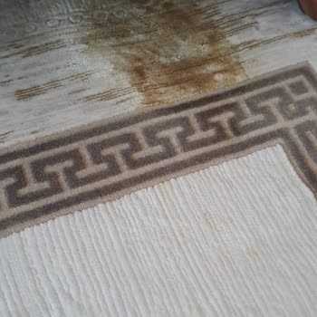 Yüksek Fiyatlı Halıdan Leke Çıkmıyor, Mağaza Sorumluluk Almıyor