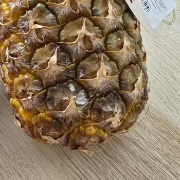 Getir'den Bayat Ve Bozuk Ürünler Nedeniyle Hesap Kapatılması