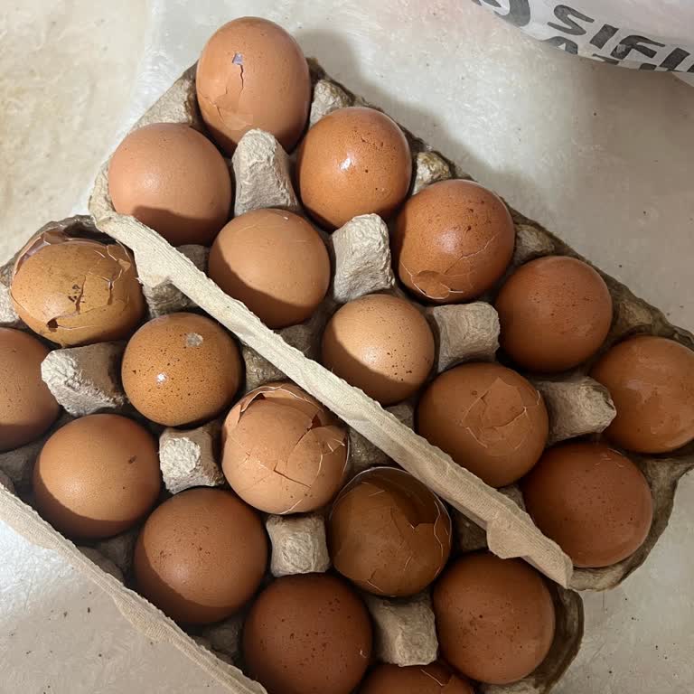 Kırık Yumurtalar Ve İlgisiz Müşteri Hizmeti Nedeniyle Mağduriyet