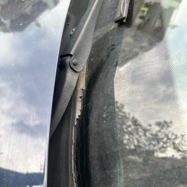 BMW 3.20 Ön Cam Fitili Kronik Sorunu İçin Ücretsiz Değişim Talebi