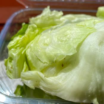 Siparişte Gelen Marulda Böcek Şoku Ve Hijyen Sorunu