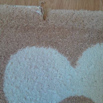 Halı Yıkama Sonrası Hasar Ve Olumsuz Müşteri Hizmeti Deneyimi