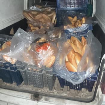 Koltuk Ve Sandalyelerde Hızlı Tiftiklenme, Servisten Destek Alınamadı