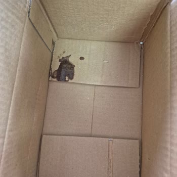 İade Reddi Ve Müşteri Hizmetlerinde Olumsuz Tutum