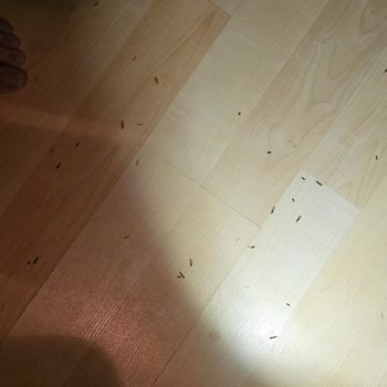 Sigorta Şirketi Sorunlara Çözüm Sunmuyor Mağdurum