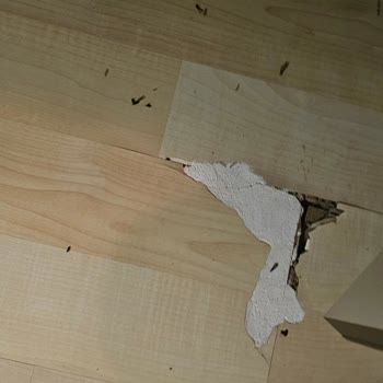 Sigorta Şirketi Sorunlara Çözüm Sunmuyor Mağdurum