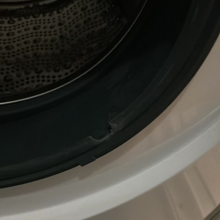 Garanti Kapsamındaki Siemens Çamaşır Makinemin Körük Lastiği Koptu, Yüksek Servis Ücreti Talep Edildi