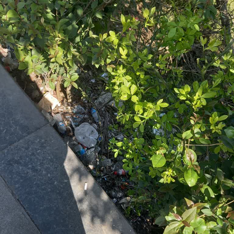 İstanbul Büyükşehir Belediyesi Samandıra Metro Durağı Çevresindeki Temizlik Ve Ulaşım Sorunları