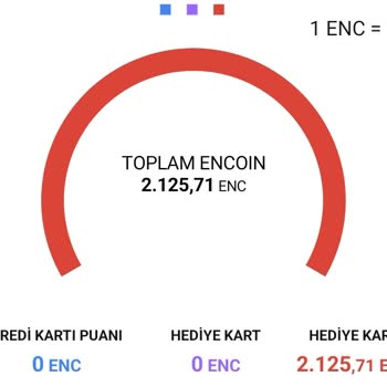 Para İadesi Banka Kartıma Yapılmadı, Encoin Olarak Yüklendi