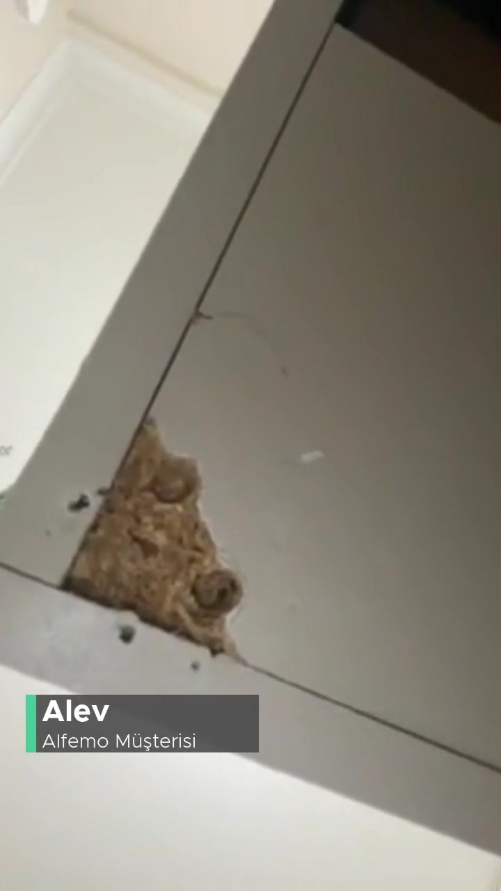 Alfemo'dan Aldığım Her Şey Kırılıyor! videonun kapak resmi