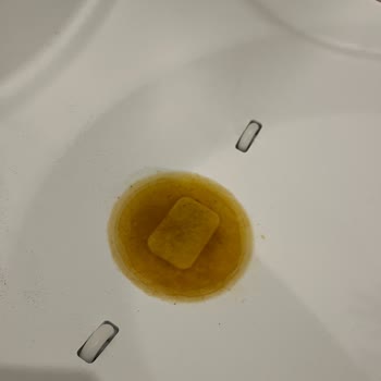 Kedi Tuvaleti Arızası Sonrası Uzun Bekleyiş Ve Yetersiz Müşteri Hizmeti