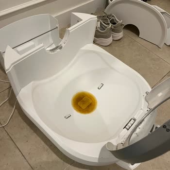 Kedi Tuvaleti Arızası Sonrası Uzun Bekleyiş Ve Yetersiz Müşteri Hizmeti