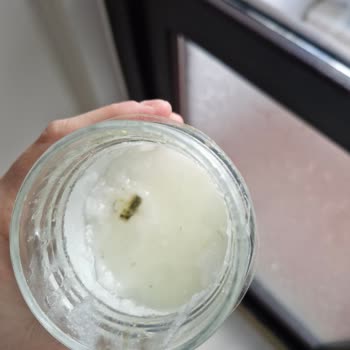 Taze Aldığım Hindistan Cevizi Yağı Küflendi!