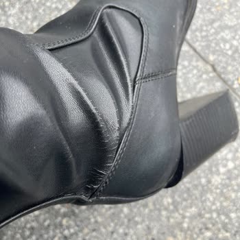 Kısa Sürede Yıpranan Mango Bot Hayal Kırıklığı Yarattı