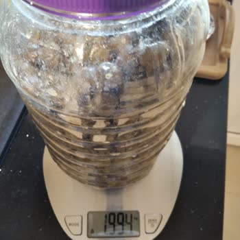 Eksik Ve Yanlış Ürün, Akmış Paket: Mavi Bostan Hayal Kırıklığı