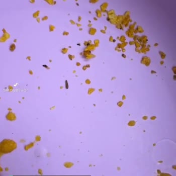 Harras Marka Cipsin İçinden Kurt Çıktı
