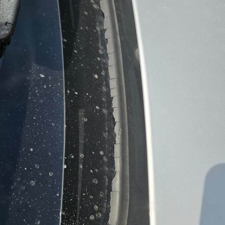 BMW 3.20i Ön Cam Fitil Sorunu Ve Kronik Arıza Mağduriyeti