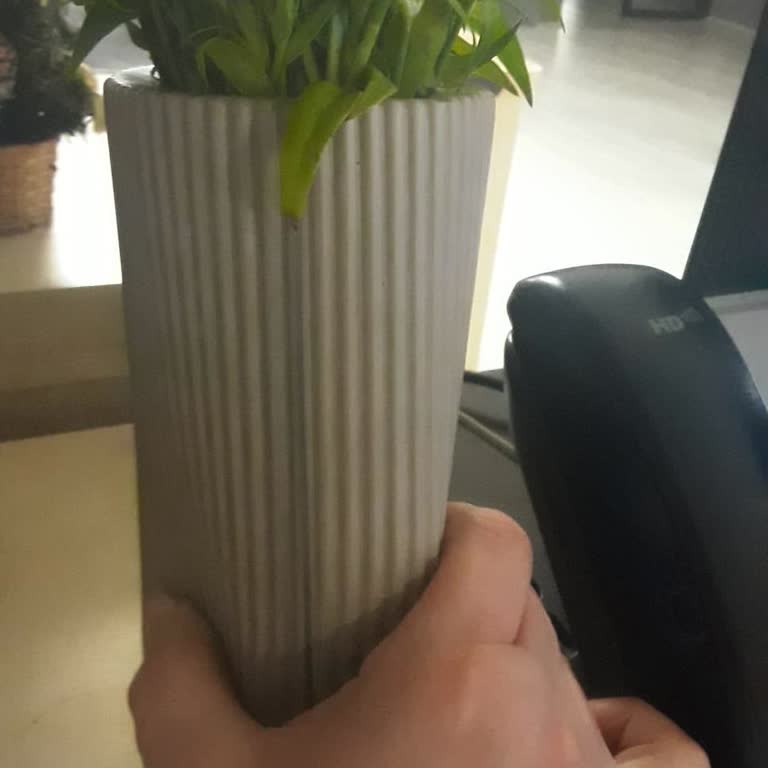 Çiçek Sepeti Sipariş Edilen Çiçek Ve Vazo Beklentiyi Karşılamadı Müşteri Hizmetleri Yetersiz Kaldı