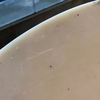 Espressolab Rumeli Hisarı Üst Katta Sigara Ve Temizlik Sorunu