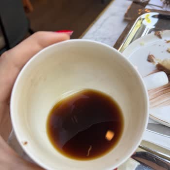 Godiva Bağdat Caddesi'nde Kahvede Kurt Ve Yetersiz Müşteri İlgisi