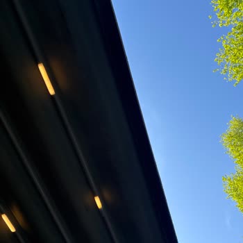 Godiva Bağdat Caddesi'nde Kahvede Kurt Ve Yetersiz Müşteri İlgisi