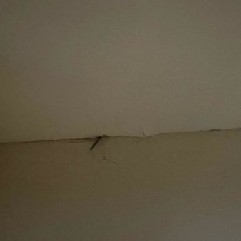 Teslim Edilen Teşhir Ürünü Hasarlı Çıktı Değişim Yapılmıyor