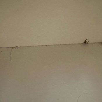 Teslim Edilen Teşhir Ürünü Hasarlı Çıktı Değişim Yapılmıyor