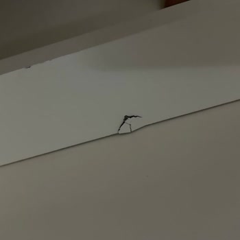 Teslim Edilen Teşhir Ürünü Hasarlı Çıktı Değişim Yapılmıyor