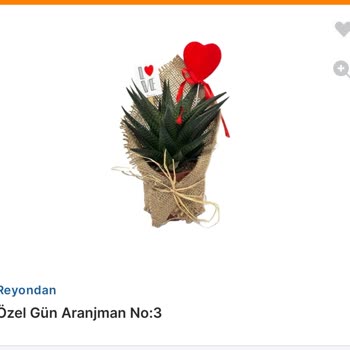 Siparişimde Bozuk Ürün Gönderildi, Kurumsallıktan Uzak Davranış