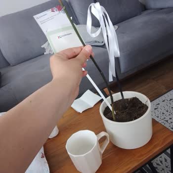 Siparişimde Yanlış Ve Köksüz Çiçek Gönderildi Mağdur Oldum