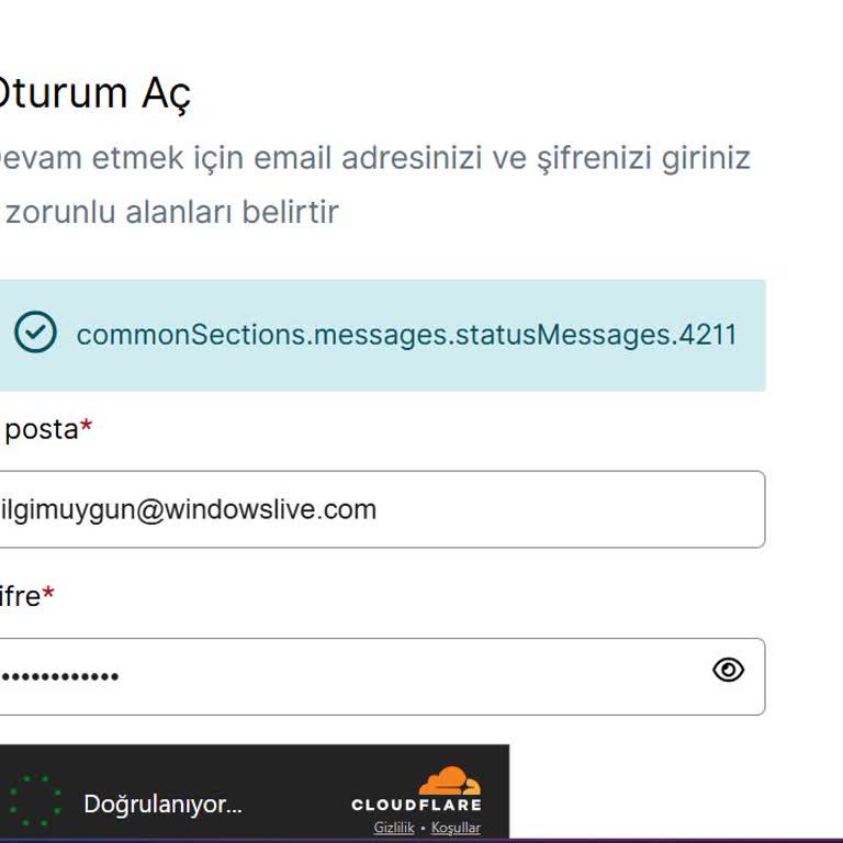 VFS Global Randevu Sisteminde Sürekli Hata: 2 Aydır Randevu Alamıyorum