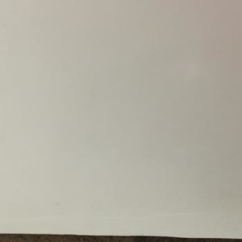 1 Yıllık Bosch Çamaşır Makinesinde Küf Sorunu Ve Garanti Mağduriyeti