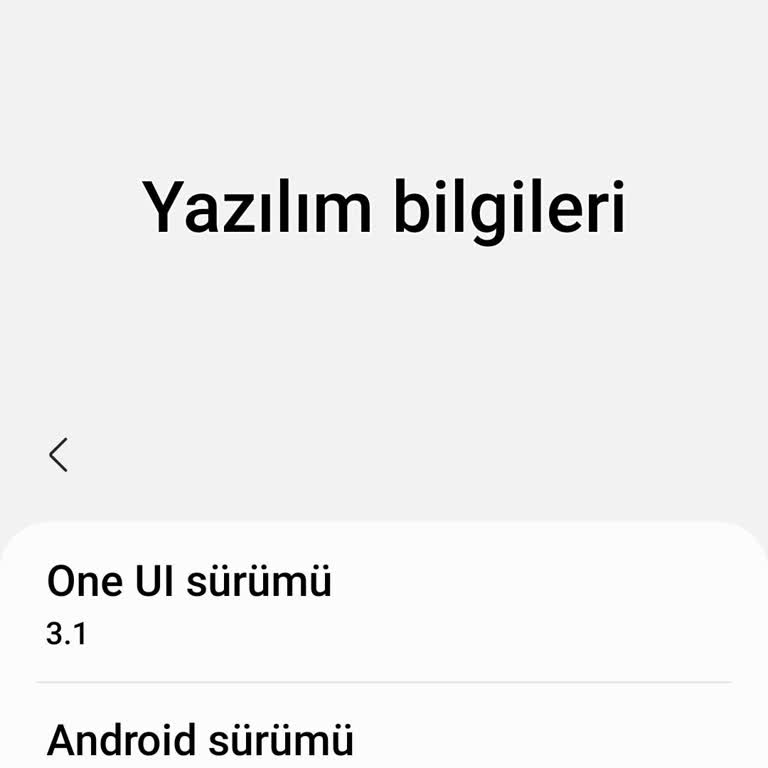 Samsung A50'ye Güncelleme Gelmemesi Kullanıcıyı Mağdur Ediyor