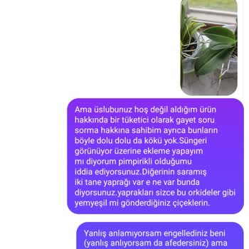 Aldığım Orkideler Sağlıksız Çıktı, Satıcı Olumsuz Yoruma Kapalı Ve İletişimi Kesti