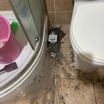 Sompo Sigorta Mağduriyeti Ve Hasar Sonrası İlgisizlik