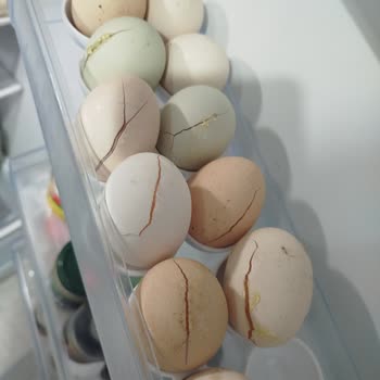 Bosch Buzdolabında 7 Ayda Arıza Ve Ürün Kaybı Yaşadım