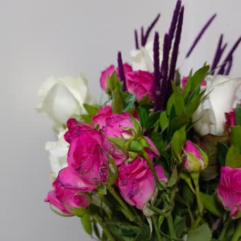 Gönderilen Çiçekler Solmuş Ve Kötü Durumdaydı