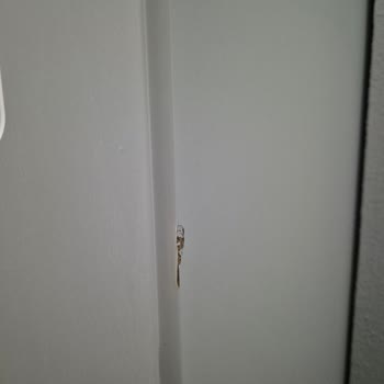 Ayıplı Ve Defolu Gardırop, 5 Ay Sonra Hatalı Teslimat!