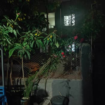 Sokak Lambası Arızası Aylardır Giderilmiyor