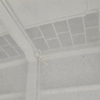 Yetkili Serviste Yapılan Hatalı Kaplama Nedeniyle Araçta Hasar Ve Yetersiz Çözüm Süreci