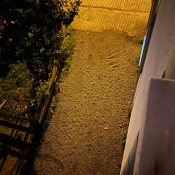 Evimin Önündeki Yolun Toprak Olması Ve Su Birikintisi Sorunu