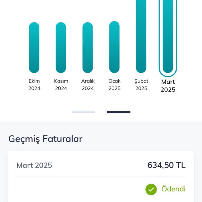 Türk Telekom Faturalı Hattımda Beklenmedik Yüksek Fatura Sorunu