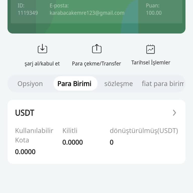 P2B Platformunda Para Çekme Engeli Ve Güvenlik Endişesi
