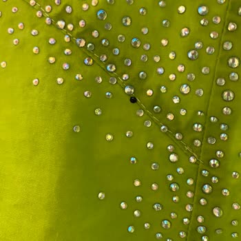 Mağazadan Alınan Üründe Yaşanan Sorun ve Destek Talepleri